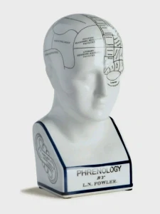 Frenologická hlava