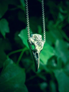 Pánský náhrdelník z chirurgické oceli havran lebka