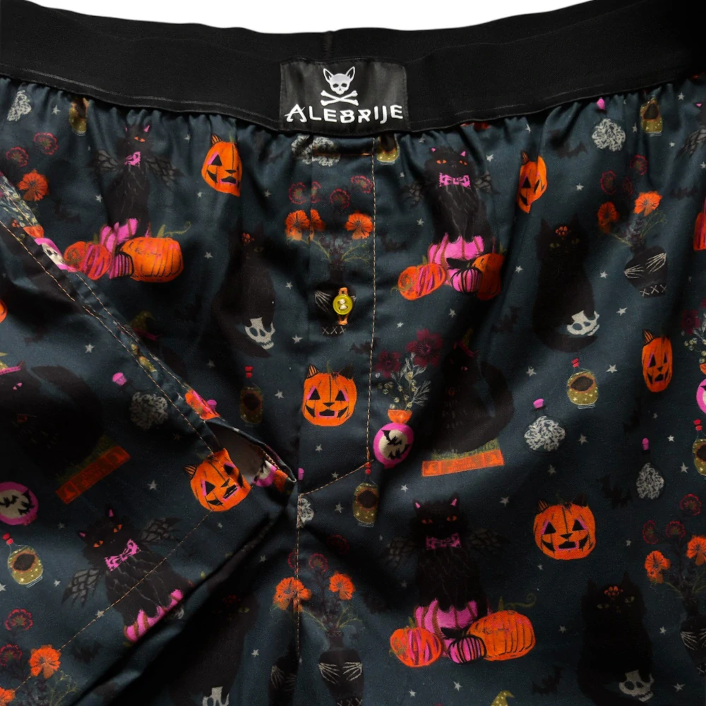 Pánské bavlněné trenky kočky