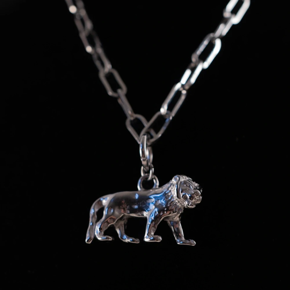 Náhrdelník z chirurgické oceli