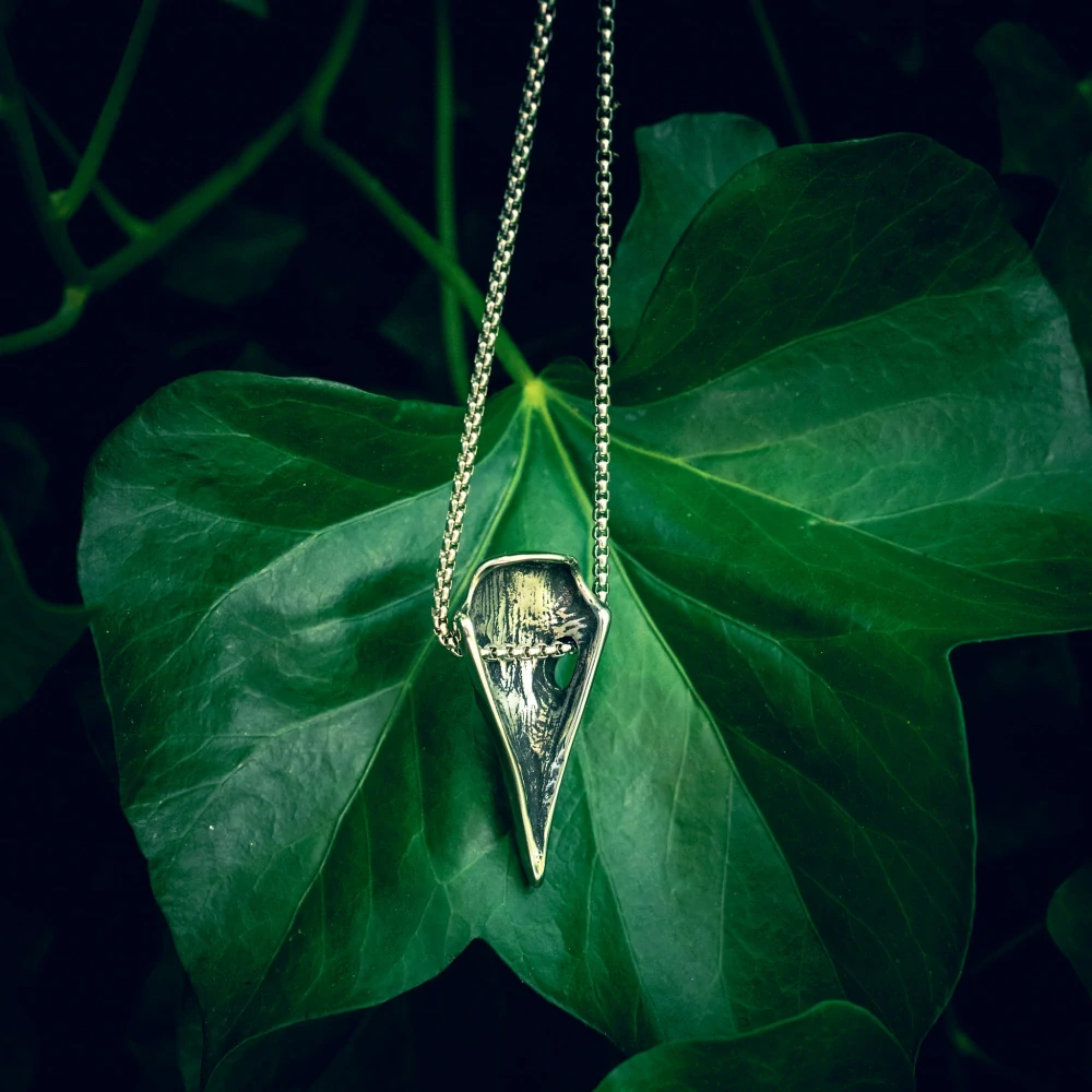 Pánský náhrdelník z chirurgické oceli havran lebka