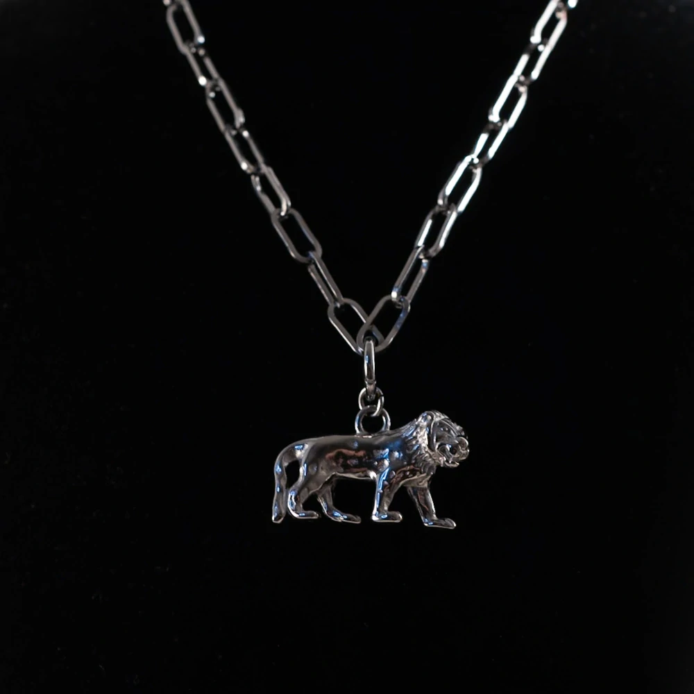 Náhrdelník z chirurgické oceli